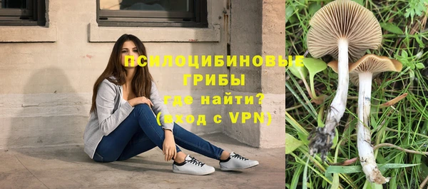 марки lsd Медвежьегорск