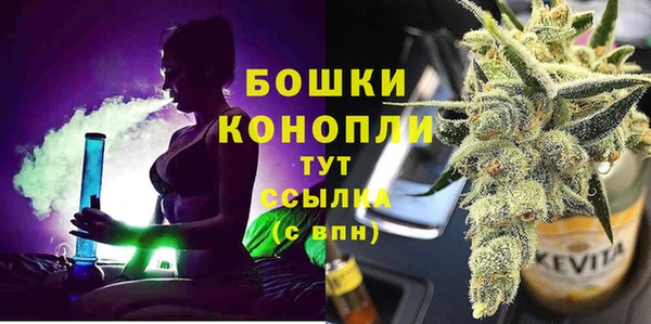 гашик Медногорск