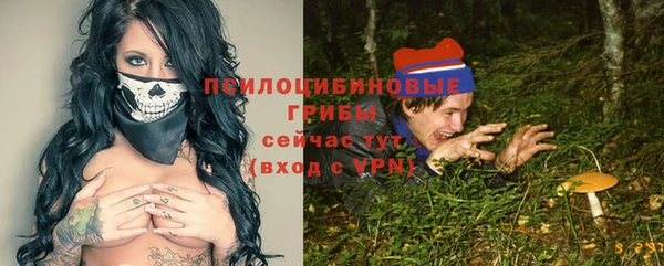 гашик Медногорск