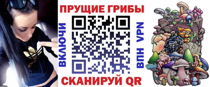 Галлюциногенные грибы Magic Shrooms  Новопавловск 